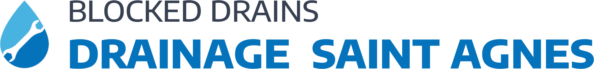 website logo